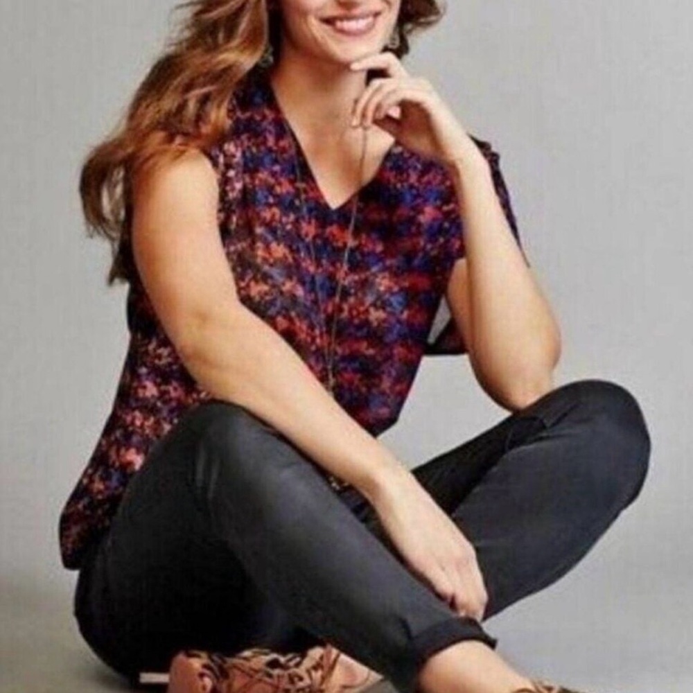 CAbi Multicolor Sheer Blouse